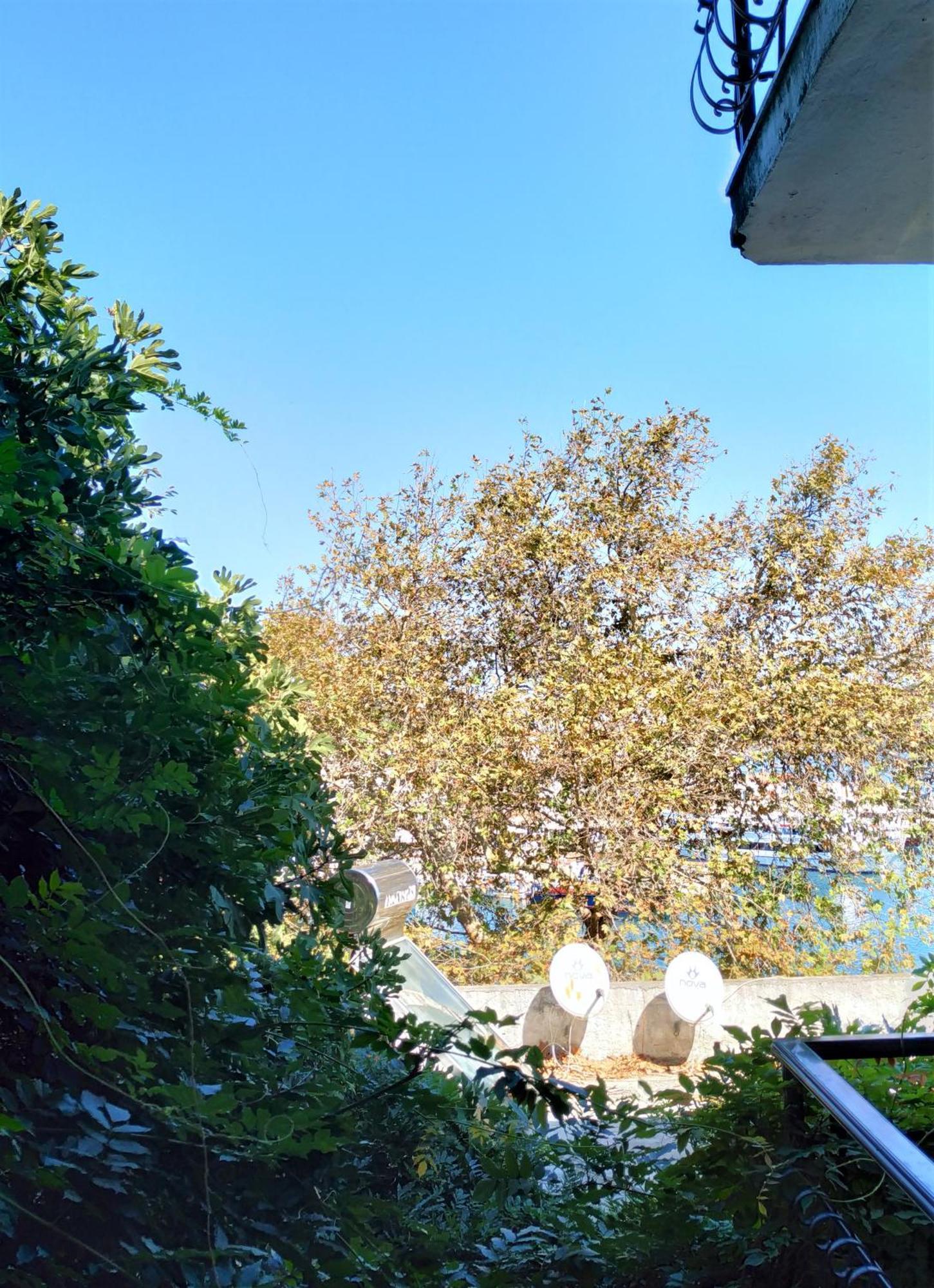 Argo Pension Skiathos by Værelse billede